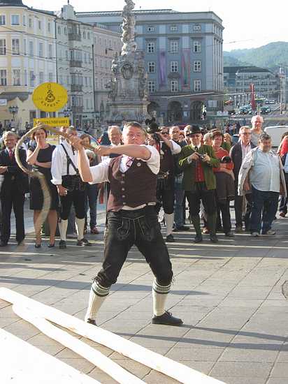 Maibaum_Linz_038.JPG